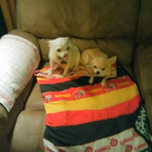 Meet your Posher, Lyle